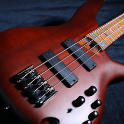 beautiful bass guitar